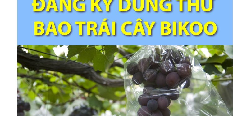Đăng ký dùng thử bao bảo vệ trái cây BIkoo