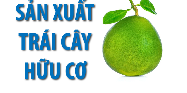 Xu hướng sản xuất trái cây hữu cơ ở Việt Nam