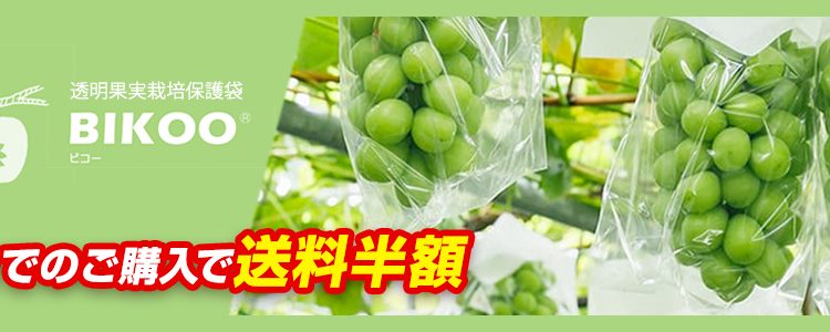 Bikoo bao trái nho cao cấp Nhật Bản